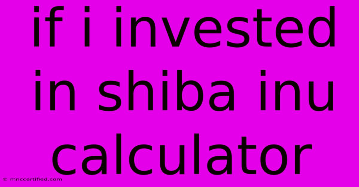 If I Invested In Shiba Inu Calculator