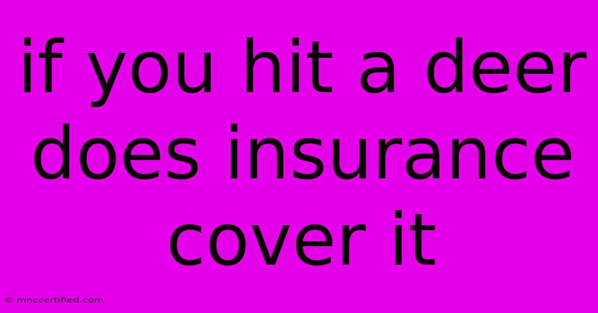 If You Hit A Deer Does Insurance Cover It