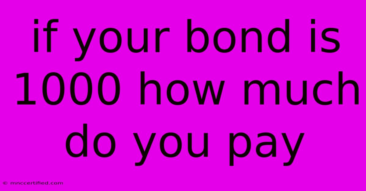 If Your Bond Is 1000 How Much Do You Pay