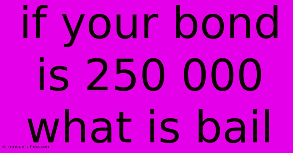 If Your Bond Is 250 000 What Is Bail