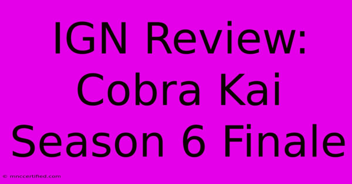 IGN Review: Cobra Kai Season 6 Finale