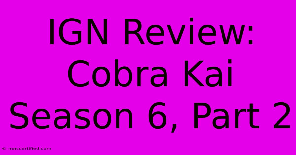 IGN Review: Cobra Kai Season 6, Part 2