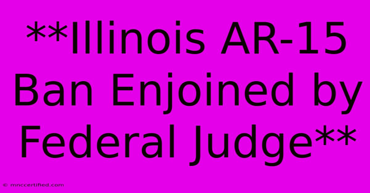 **Illinois AR-15 Ban Enjoined By Federal Judge**