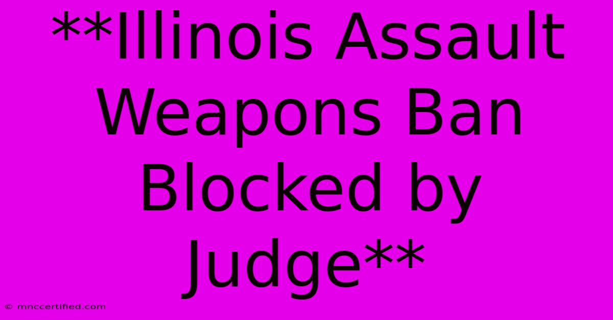 **Illinois Assault Weapons Ban Blocked By Judge**