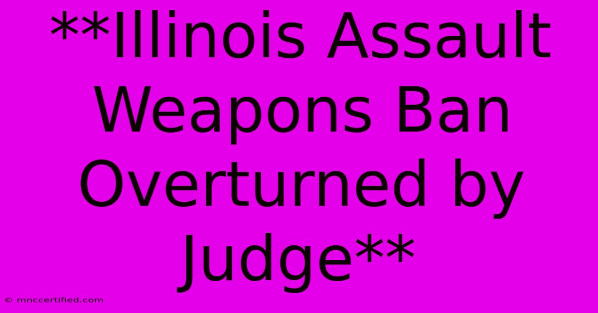 **Illinois Assault Weapons Ban Overturned By Judge**