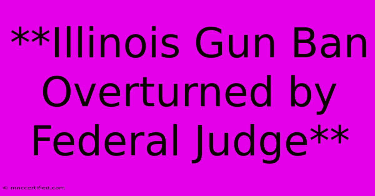 **Illinois Gun Ban Overturned By Federal Judge**