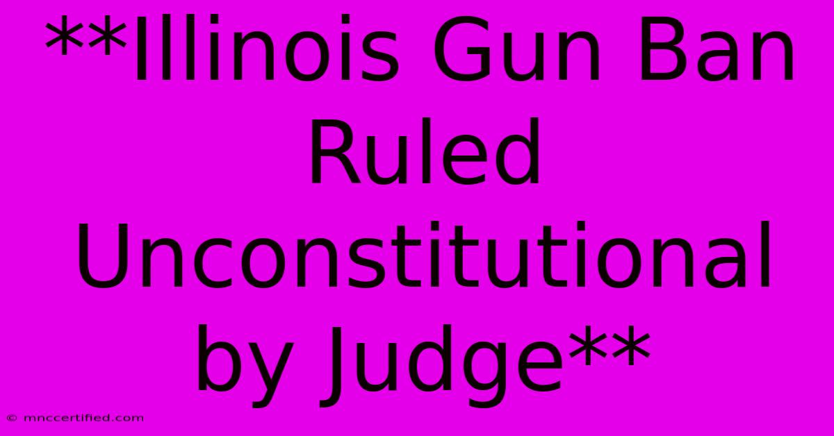 **Illinois Gun Ban Ruled Unconstitutional By Judge** 