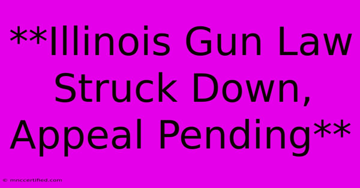 **Illinois Gun Law Struck Down, Appeal Pending** 