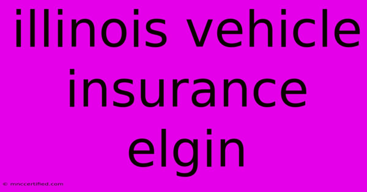 Illinois Vehicle Insurance Elgin