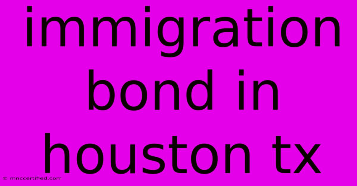 Immigration Bond In Houston Tx