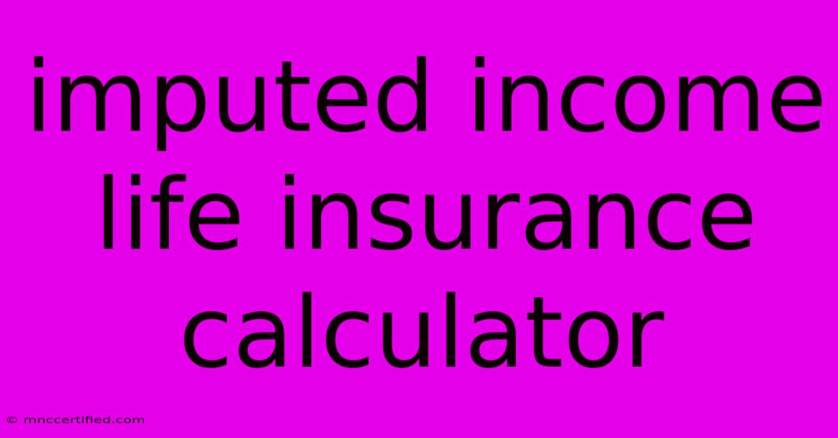 Imputed Income Life Insurance Calculator