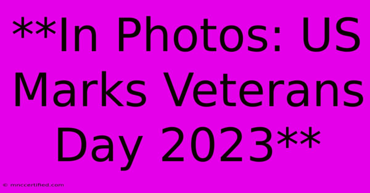 **In Photos: US Marks Veterans Day 2023** 