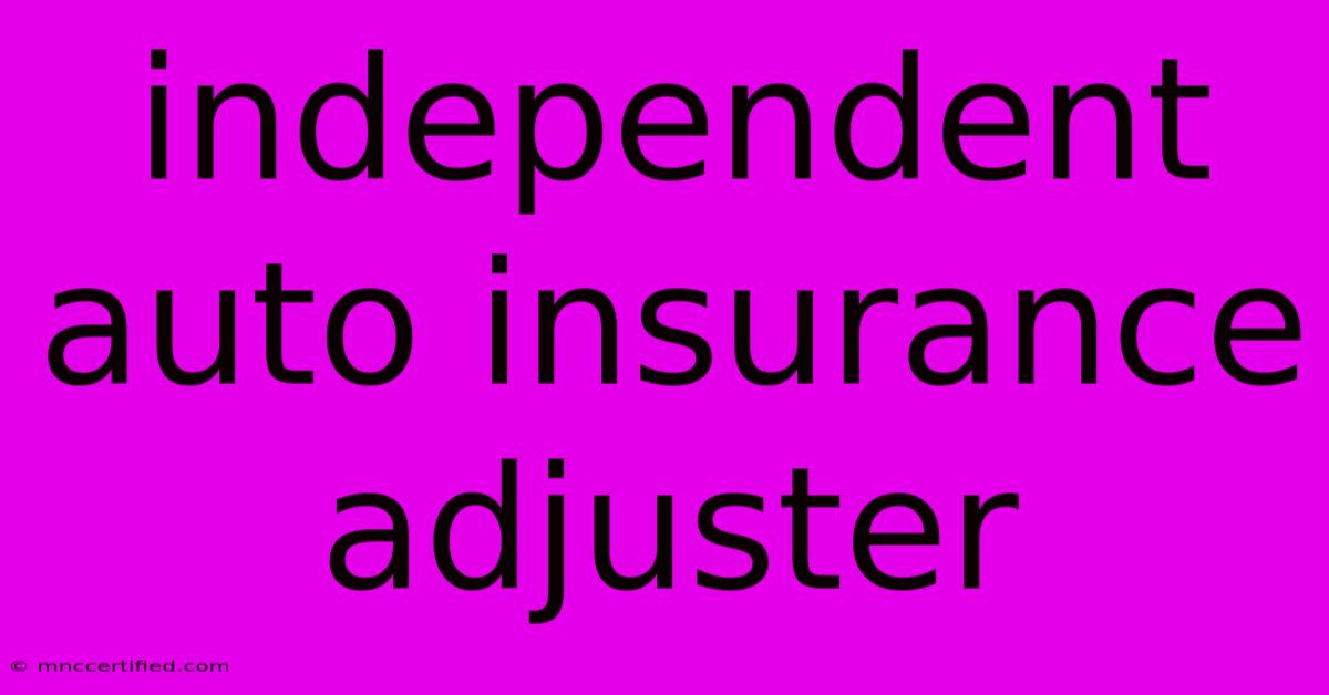 Independent Auto Insurance Adjuster