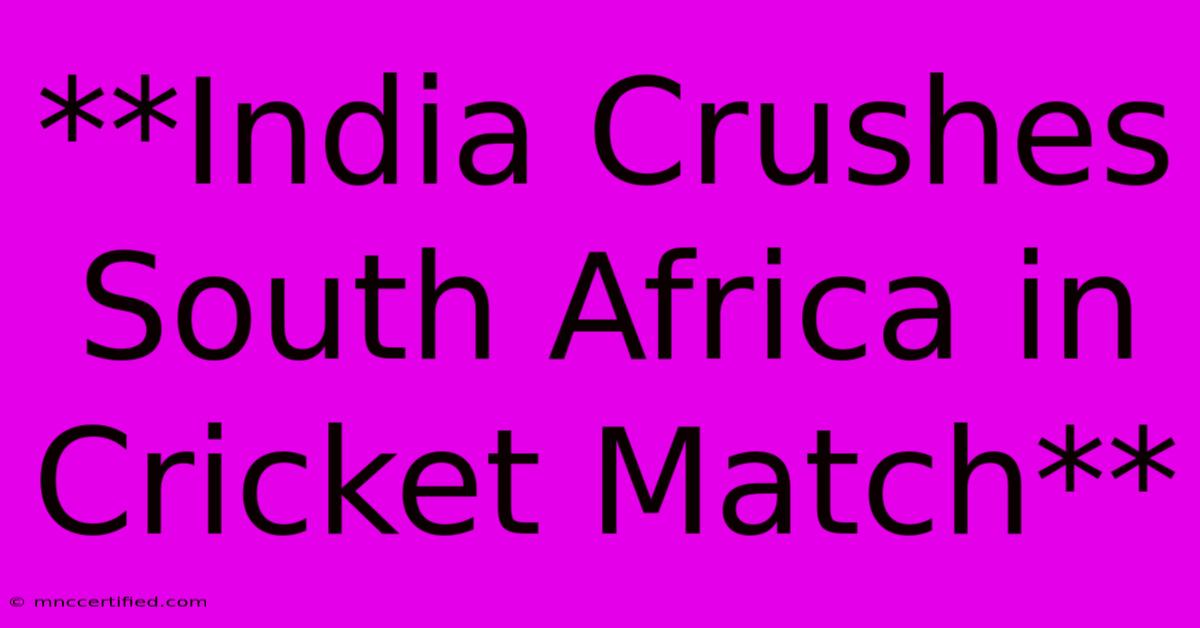 **India Crushes South Africa In Cricket Match**