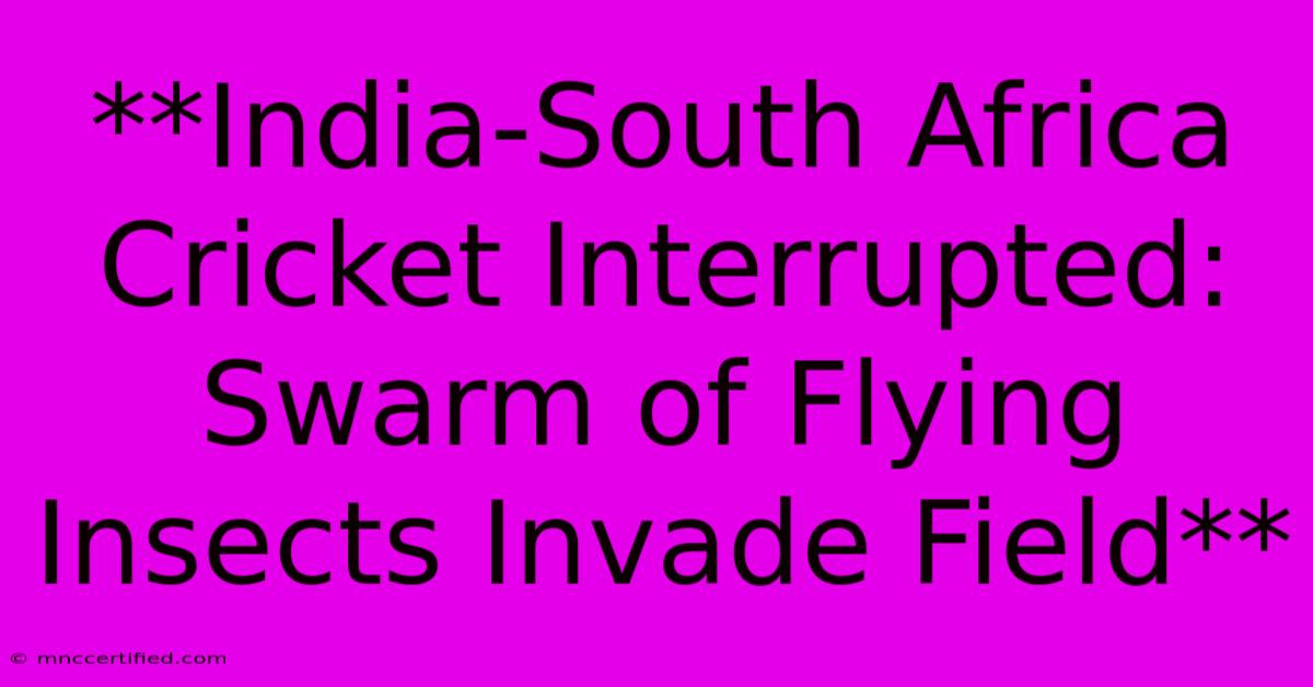 **India-South Africa Cricket Interrupted: Swarm Of Flying Insects Invade Field**