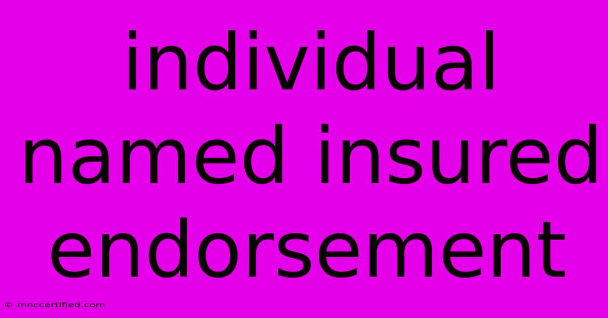 Individual Named Insured Endorsement