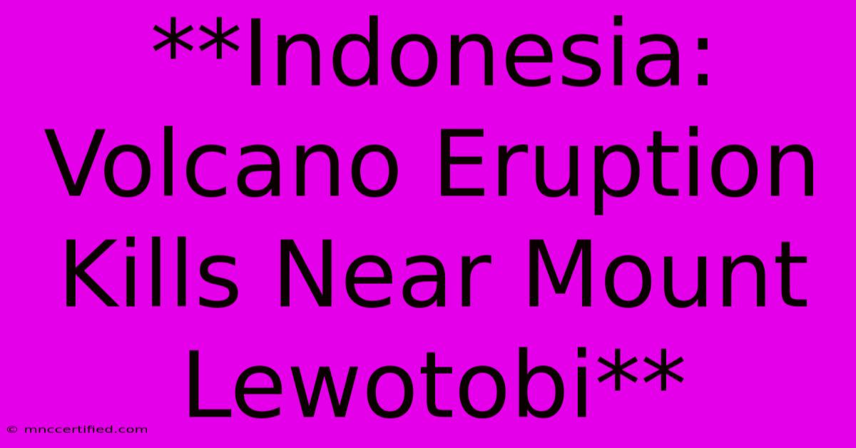 **Indonesia: Volcano Eruption Kills Near Mount Lewotobi**