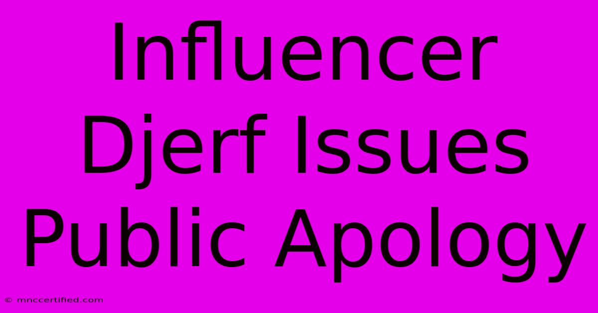 Influencer Djerf Issues Public Apology