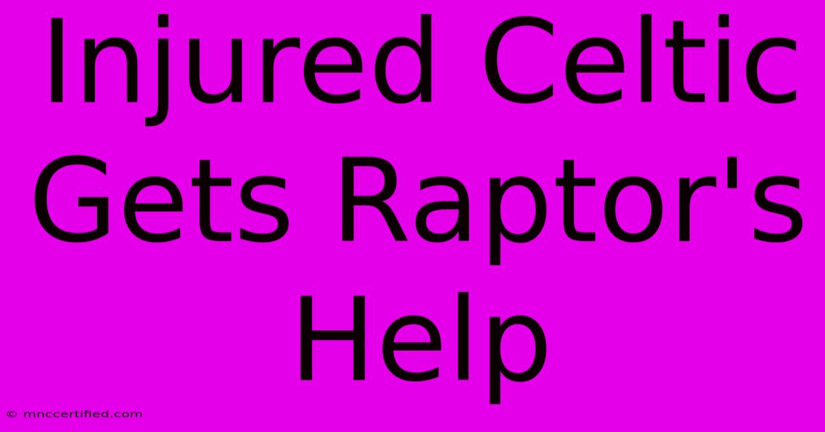 Injured Celtic Gets Raptor's Help