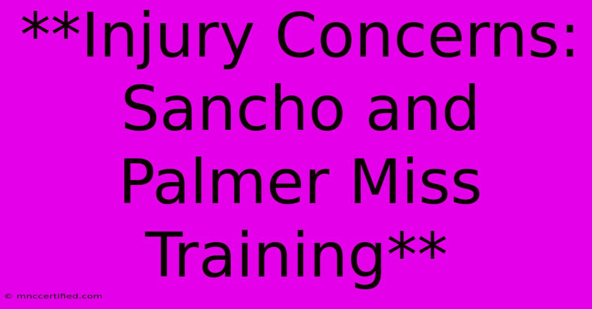 **Injury Concerns: Sancho And Palmer Miss Training**