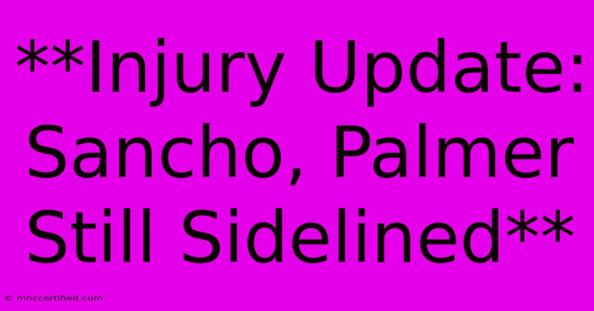 **Injury Update: Sancho, Palmer Still Sidelined**