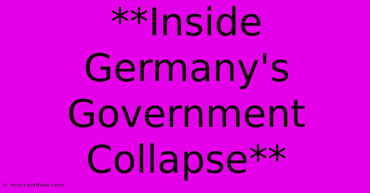 **Inside Germany's Government Collapse** 