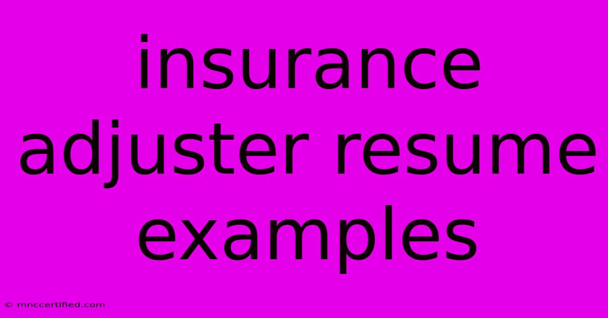 Insurance Adjuster Resume Examples