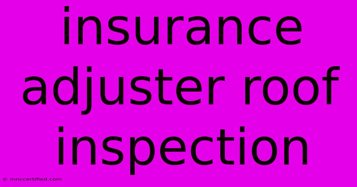 Insurance Adjuster Roof Inspection