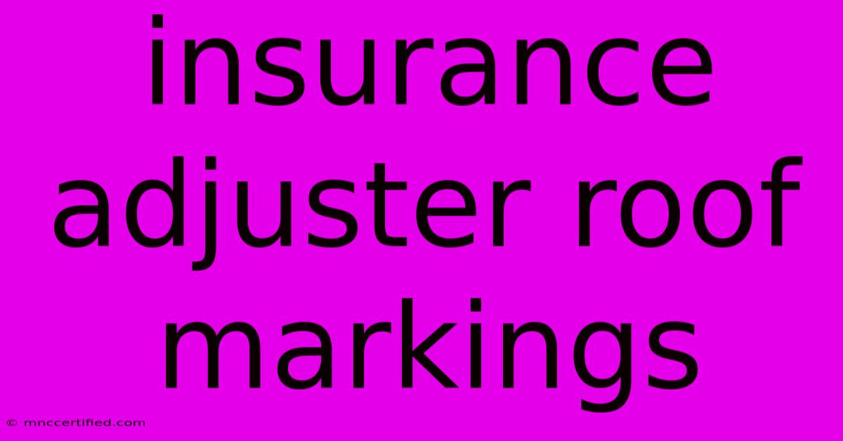 Insurance Adjuster Roof Markings