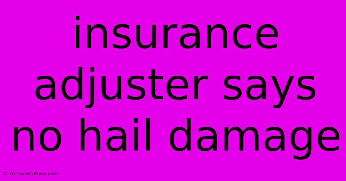 Insurance Adjuster Says No Hail Damage