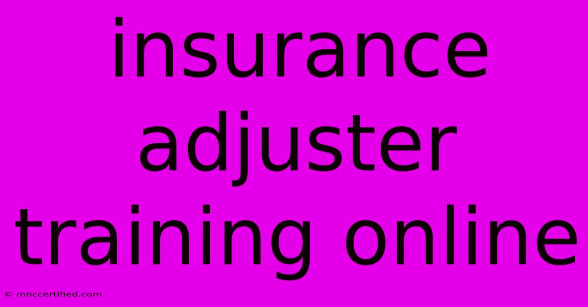 Insurance Adjuster Training Online