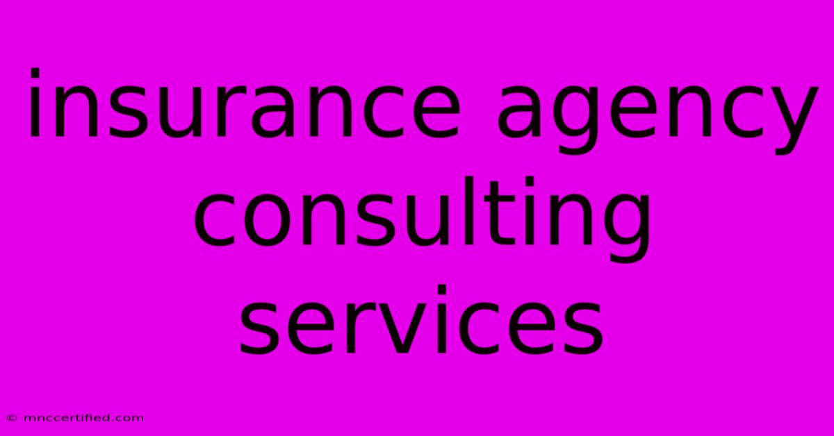 Insurance Agency Consulting Services