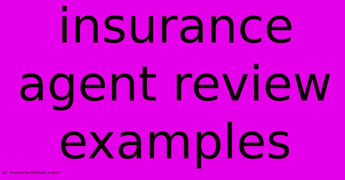 Insurance Agent Review Examples