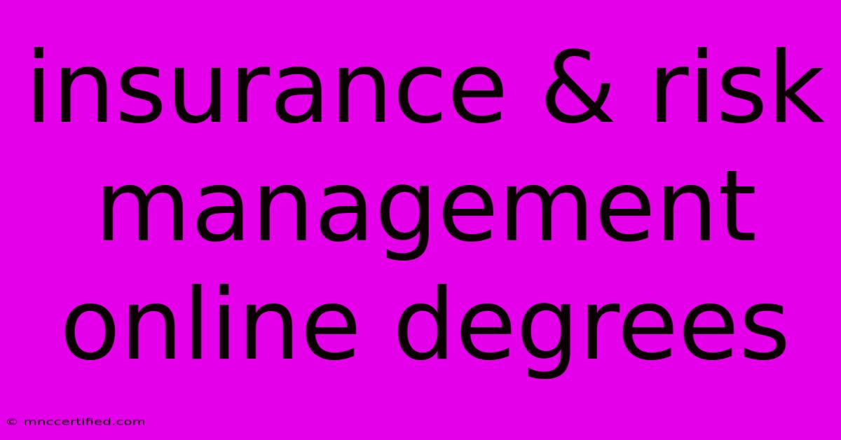 Insurance & Risk Management Online Degrees