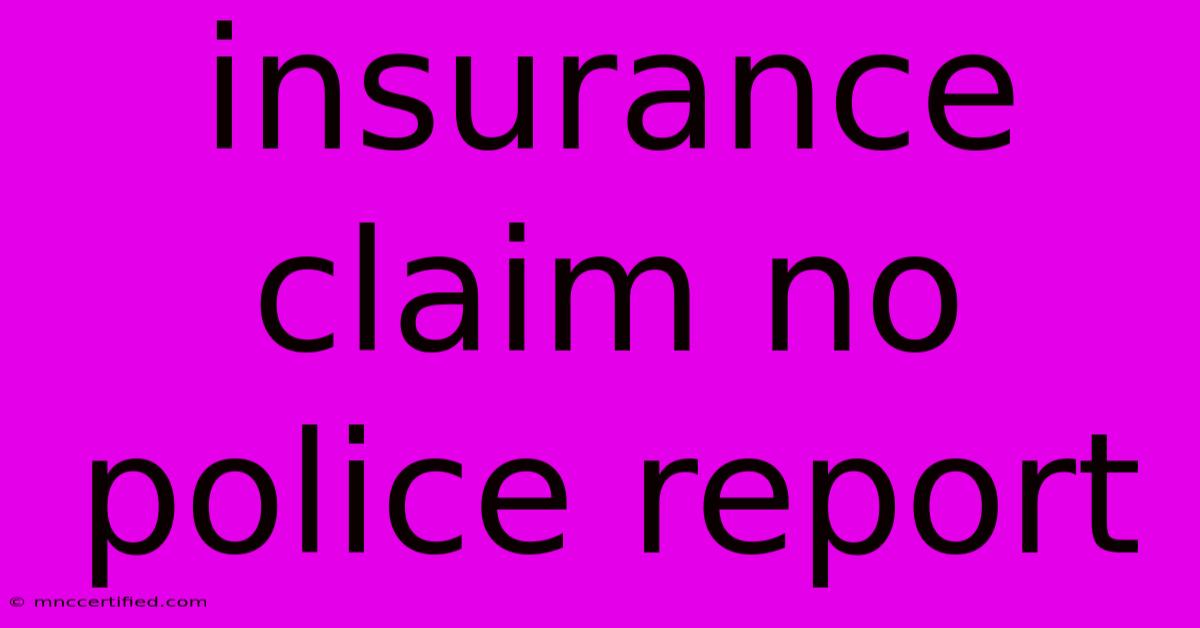 Insurance Claim No Police Report