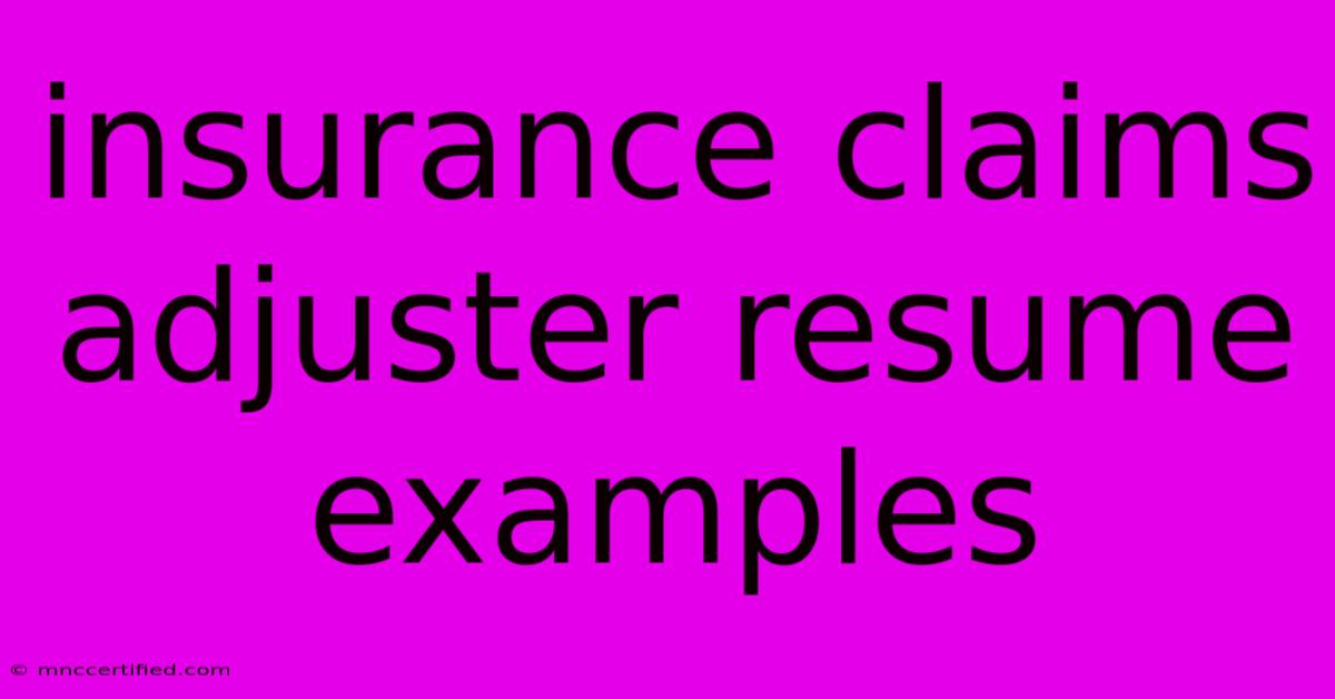 Insurance Claims Adjuster Resume Examples