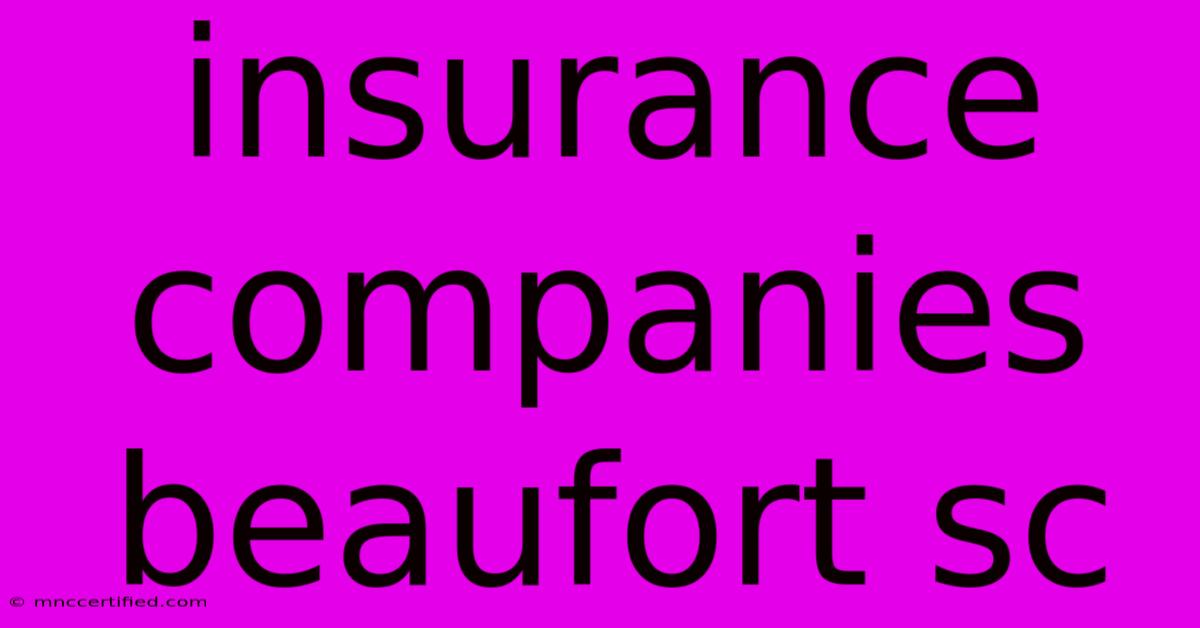 Insurance Companies Beaufort Sc