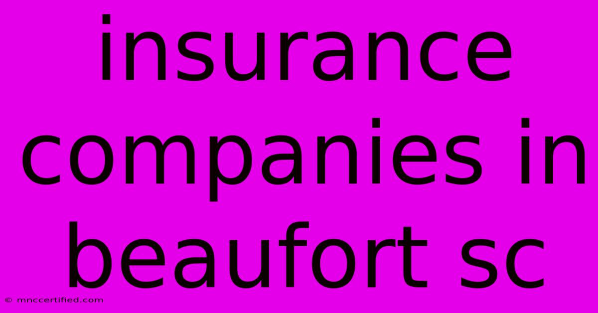 Insurance Companies In Beaufort Sc