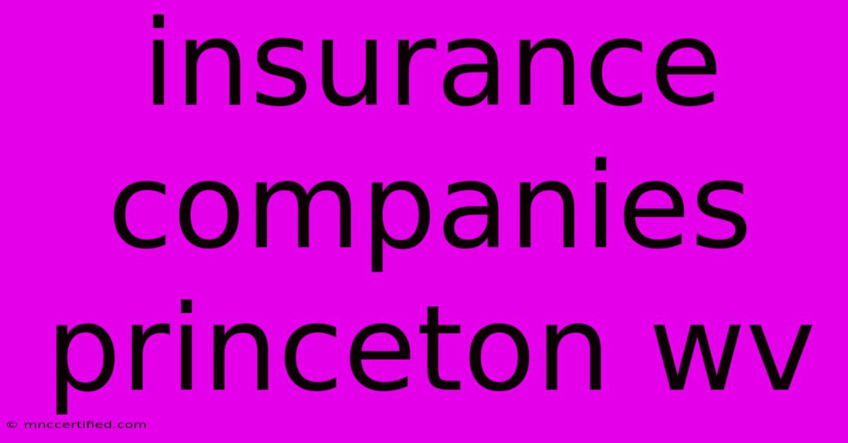 Insurance Companies Princeton Wv