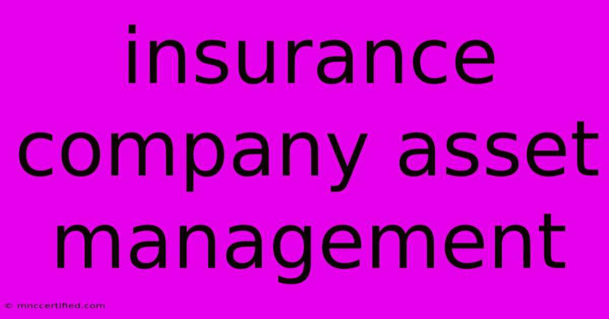 Insurance Company Asset Management