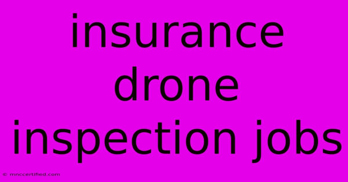 Insurance Drone Inspection Jobs