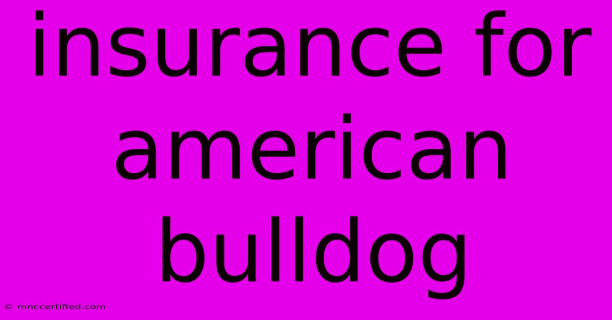 Insurance For American Bulldog