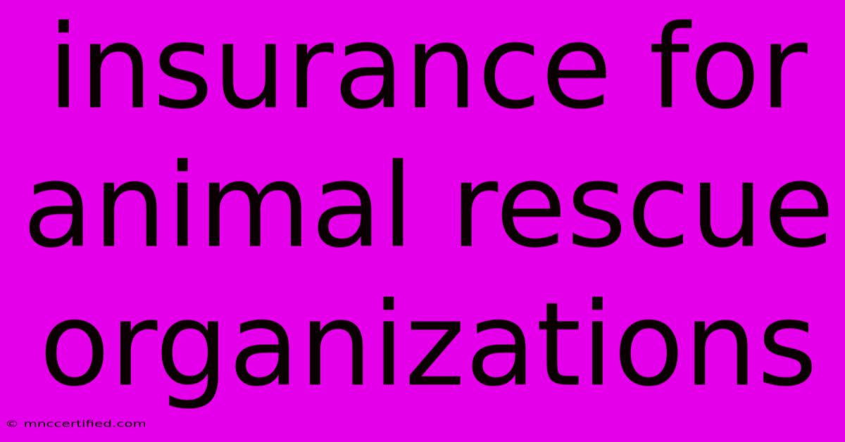 Insurance For Animal Rescue Organizations