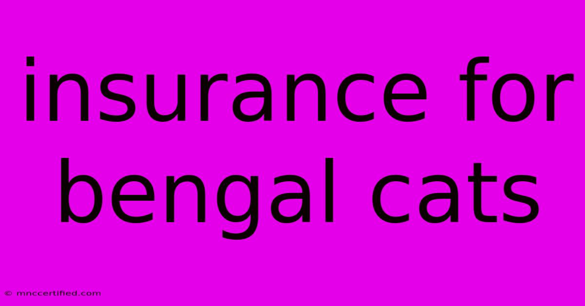 Insurance For Bengal Cats