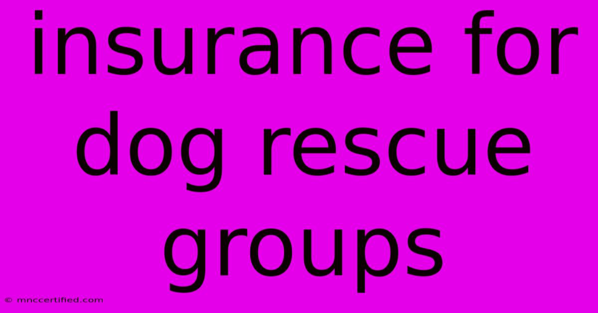 Insurance For Dog Rescue Groups