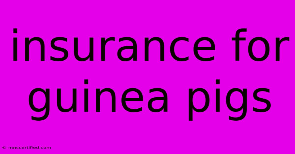 Insurance For Guinea Pigs