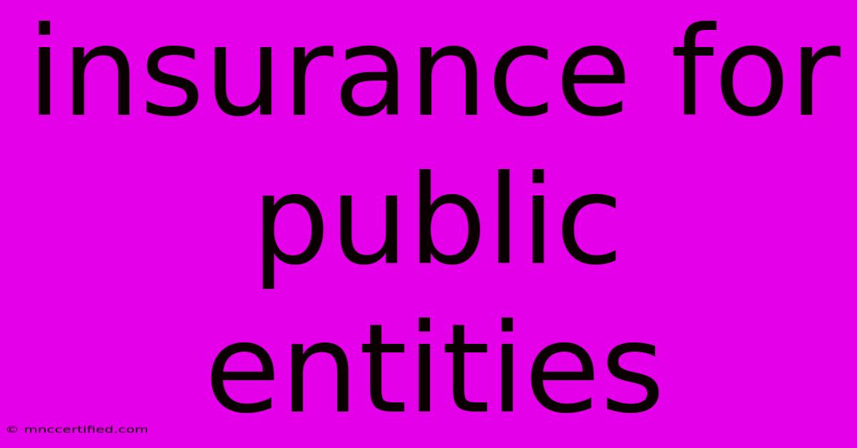 Insurance For Public Entities