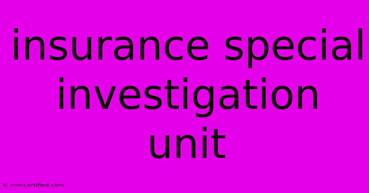 Insurance Special Investigation Unit