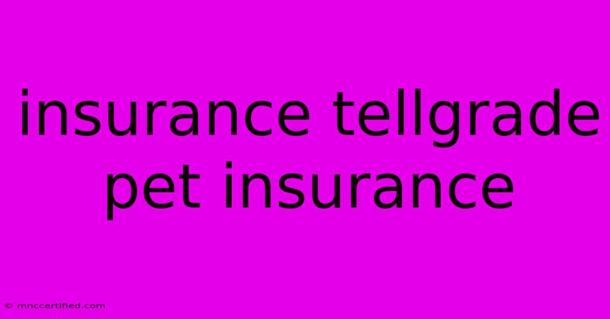 Insurance Tellgrade Pet Insurance