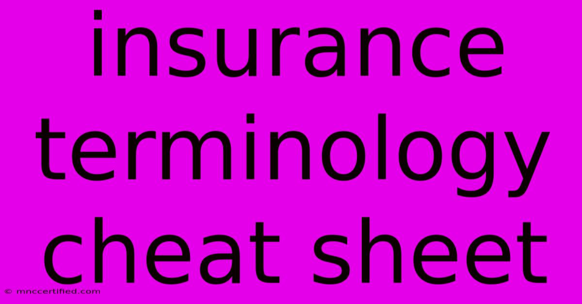 Insurance Terminology Cheat Sheet